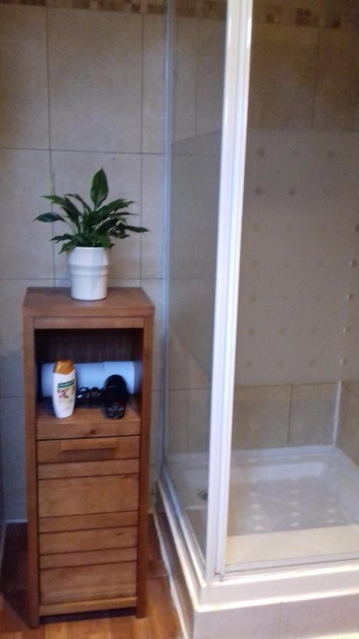 Kipps Backpackers Canterbury Bagian luar foto